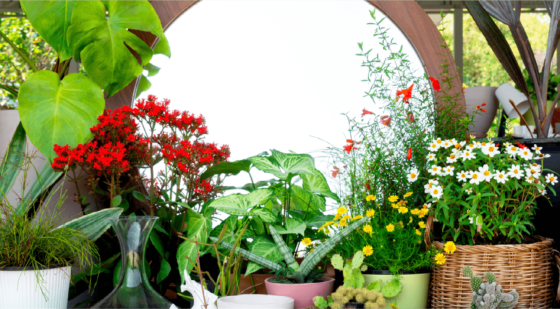 outdoor mirror