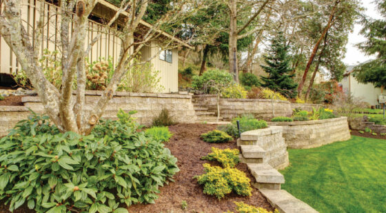 retaining wall used to highlight a tree