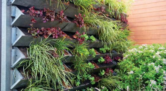 living plant retaining wall