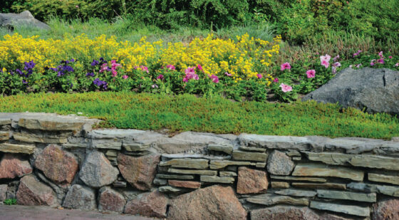 natural stone retaining wall