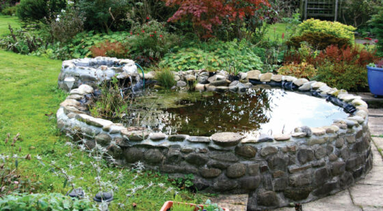 retaining wall around pond
