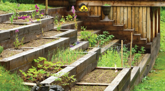 turn a slope into a garden with a retaining wall 