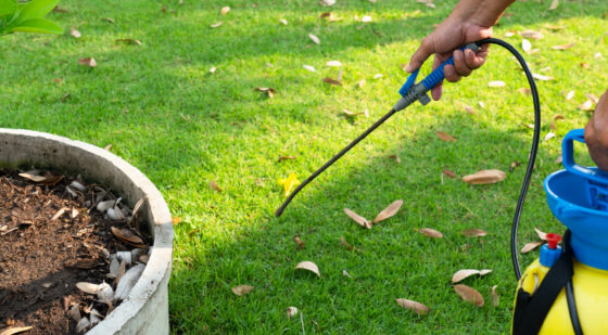 commercial herbicides to kill grass
