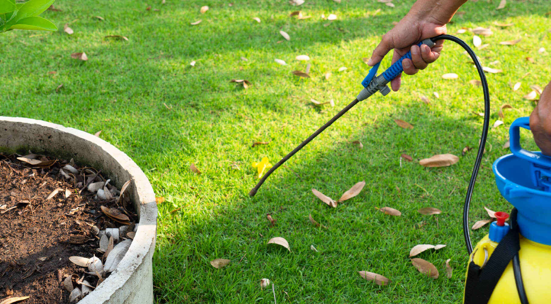 How to Kill Grass Naturally 11 Proven Methods for Homeowners