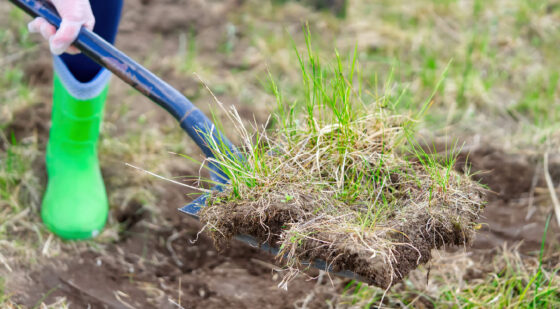 shovel method to kill grass