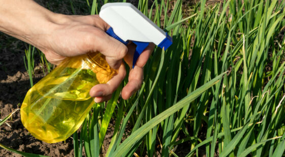 vinegar method to kill grass