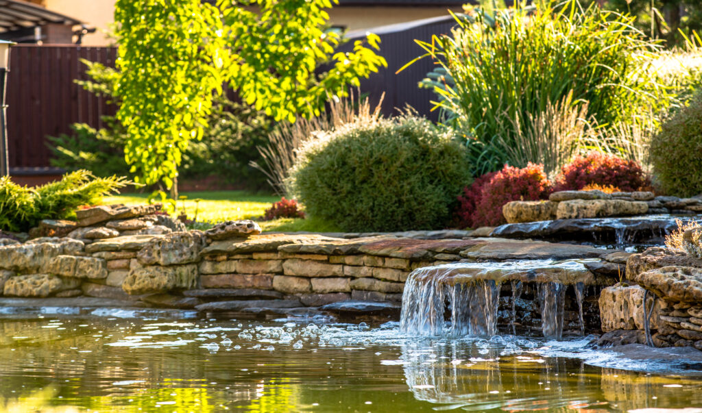 pond