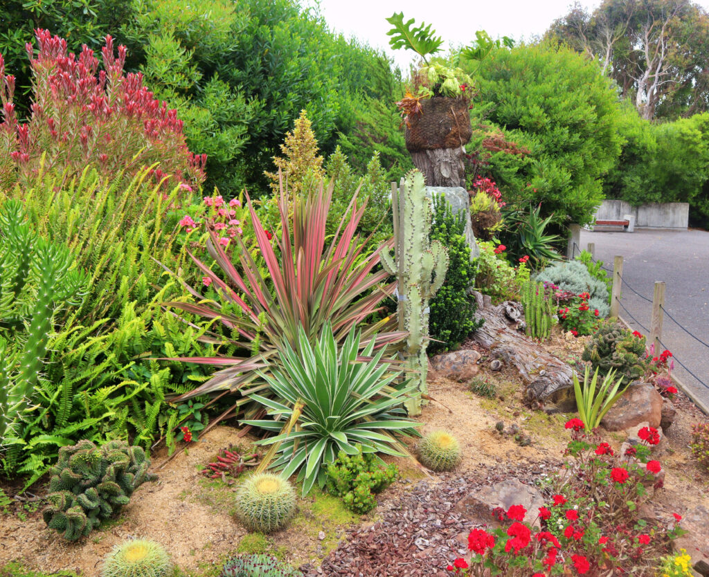 Drought tolerant landscaping in California. 