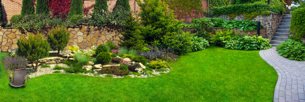Landscaping in Bonita, California. 