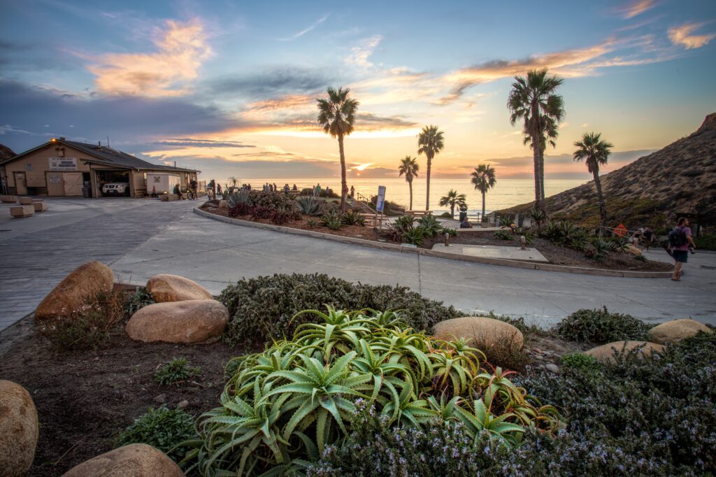 Landscaping in Solana Beach, CA