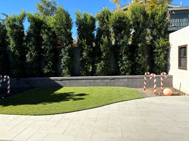 Backyard with large-format paver patio, curved synthetic turf lawn, gray block retaining wall, and tall privacy trees.