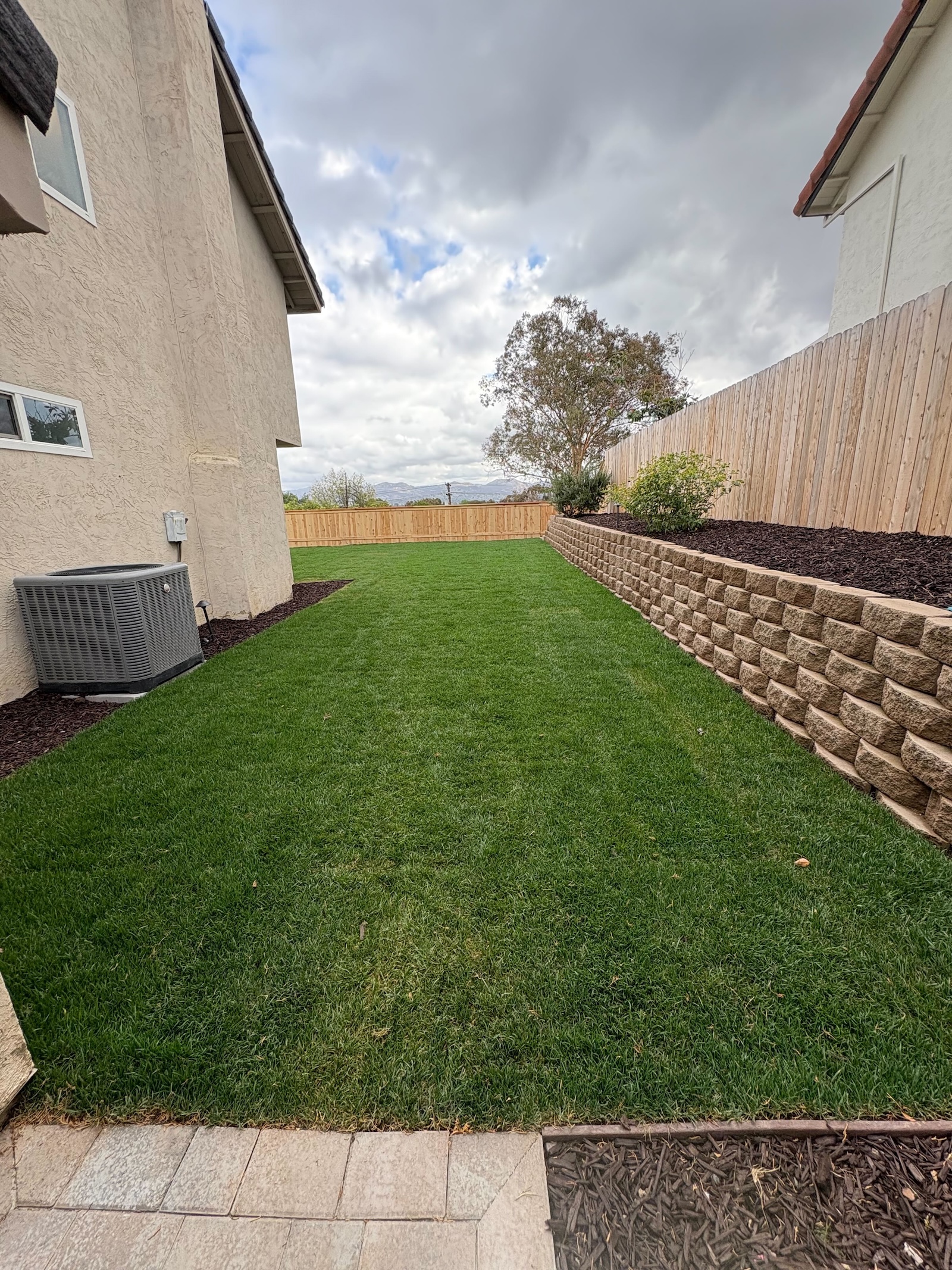 A Fletcher Hills Backyard, Rebuilt After the Rains