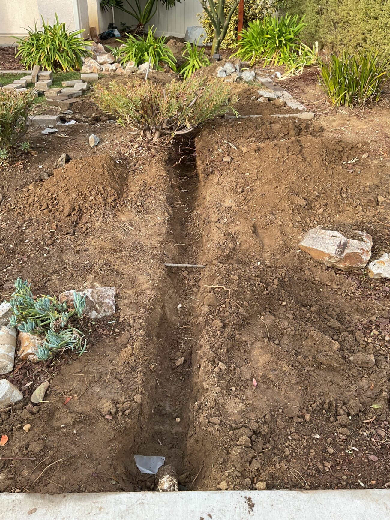 Narrow trench dug through a residential front yard with exposed soil and plant roots, leading toward the curb.
