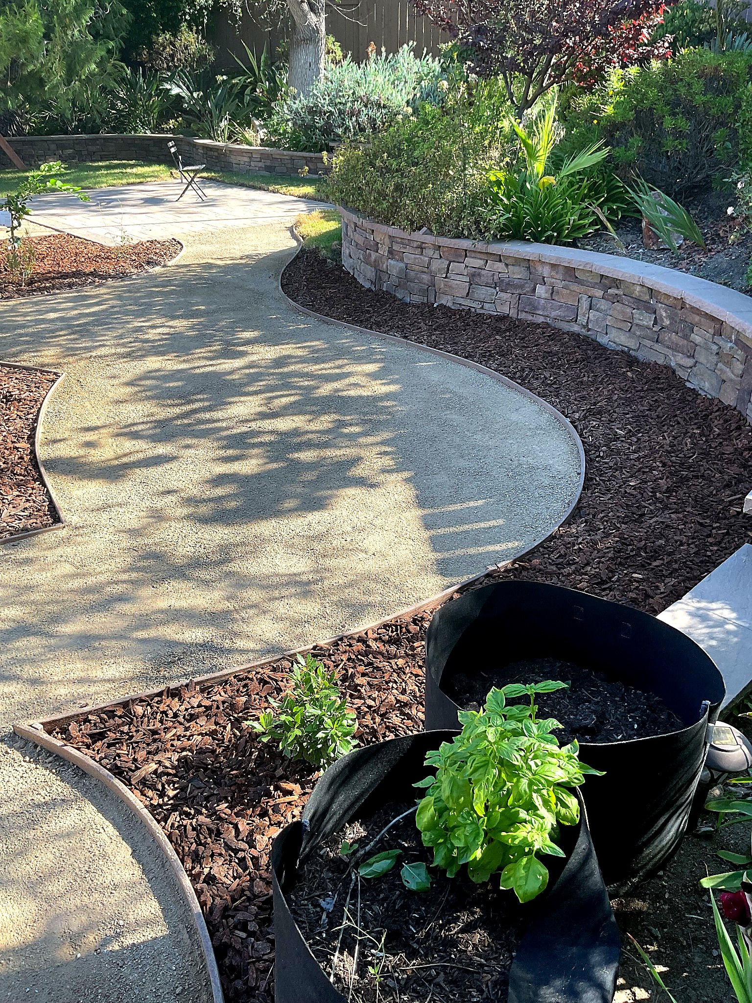 Curving stabilized DG path alongside a stacked-stone retaining wall with mulch beds and a fabric grow bag of basil in the...