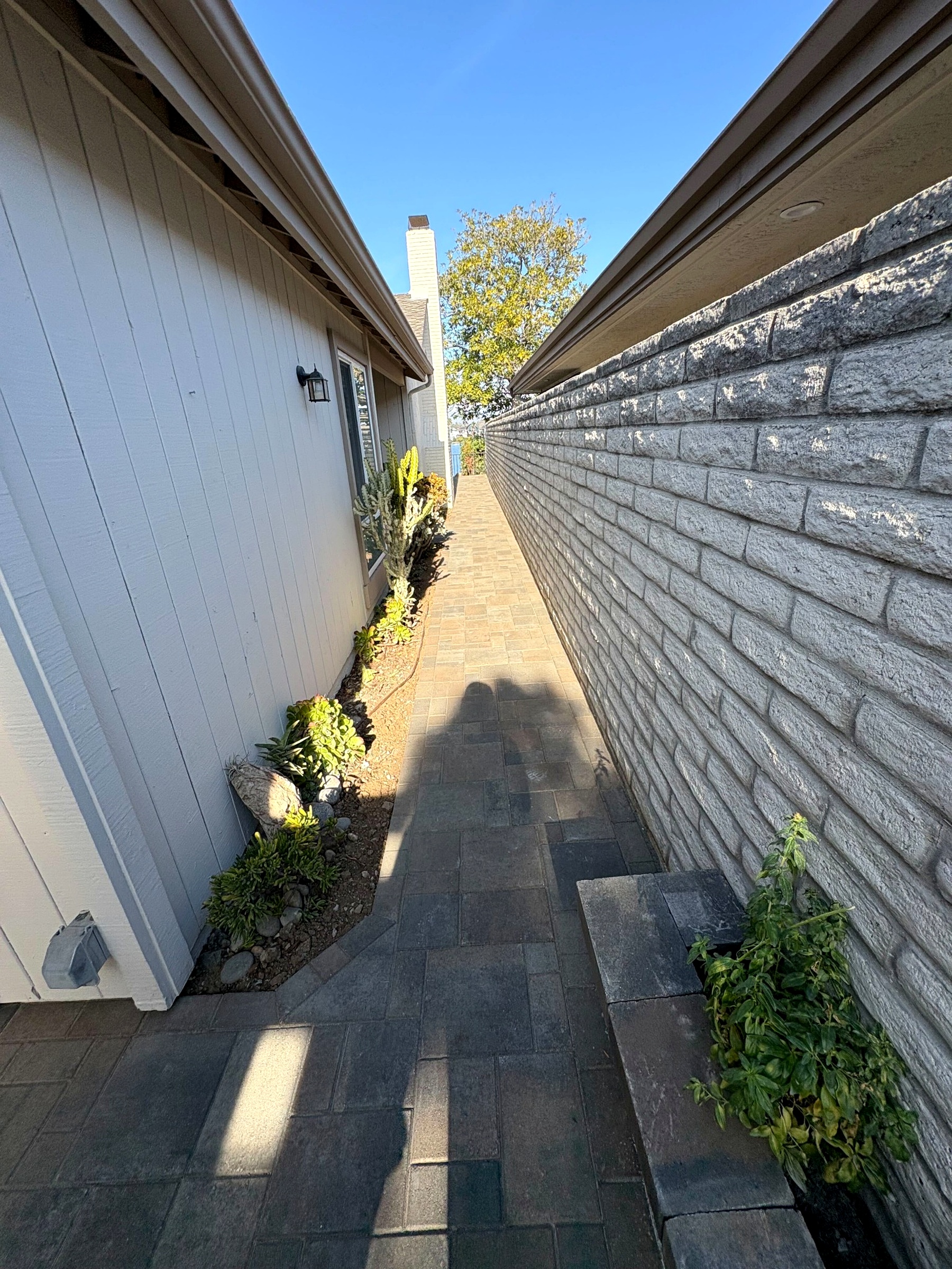 ORCO Villa Express pavers run the narrow side yard between the house and the block wall, succulents lining the strip.