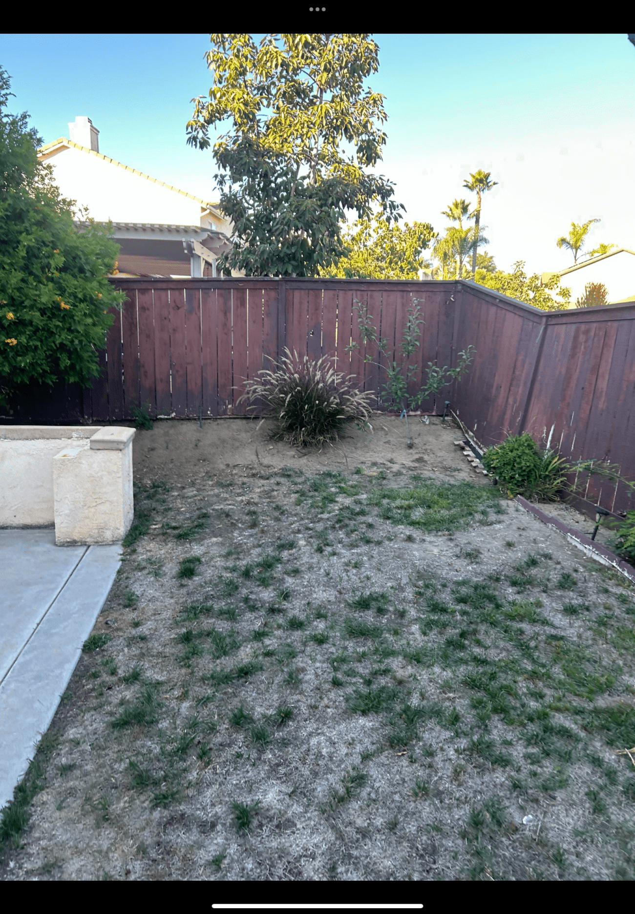 Small residential backyard with patchy, drought‑stressed natural grass and exposed dirt, bordered by a wooden fence and a...