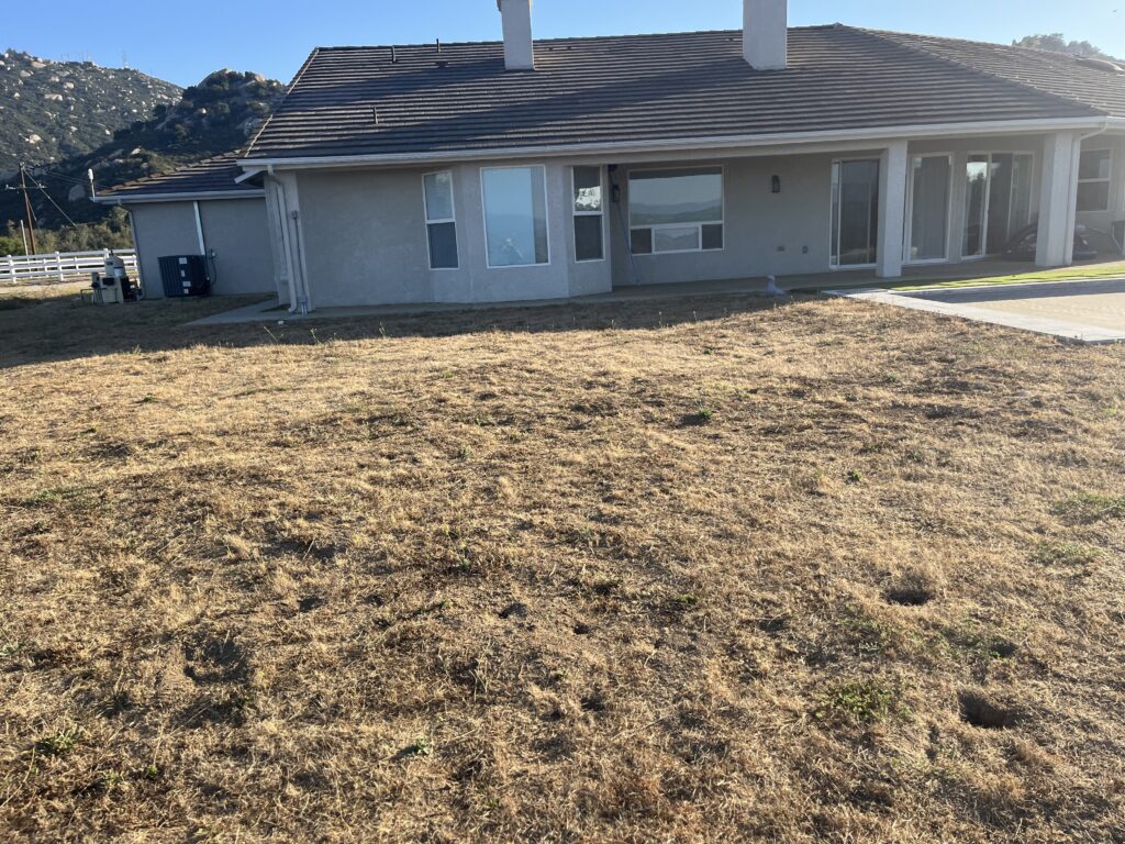 Rear yard of a single-family residence showing a large expanse of dormant natural grass and an existing concrete...