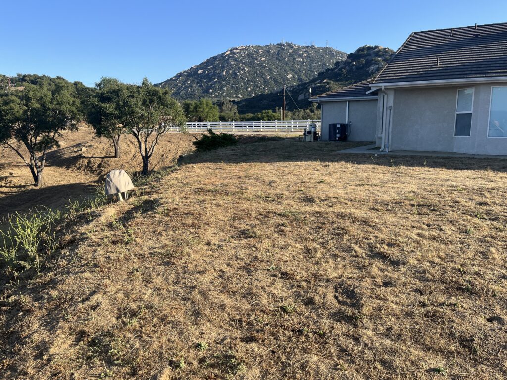 Wide site photo of a residential backyard showing an existing drought-stressed natural grass lawn with patchy areas...