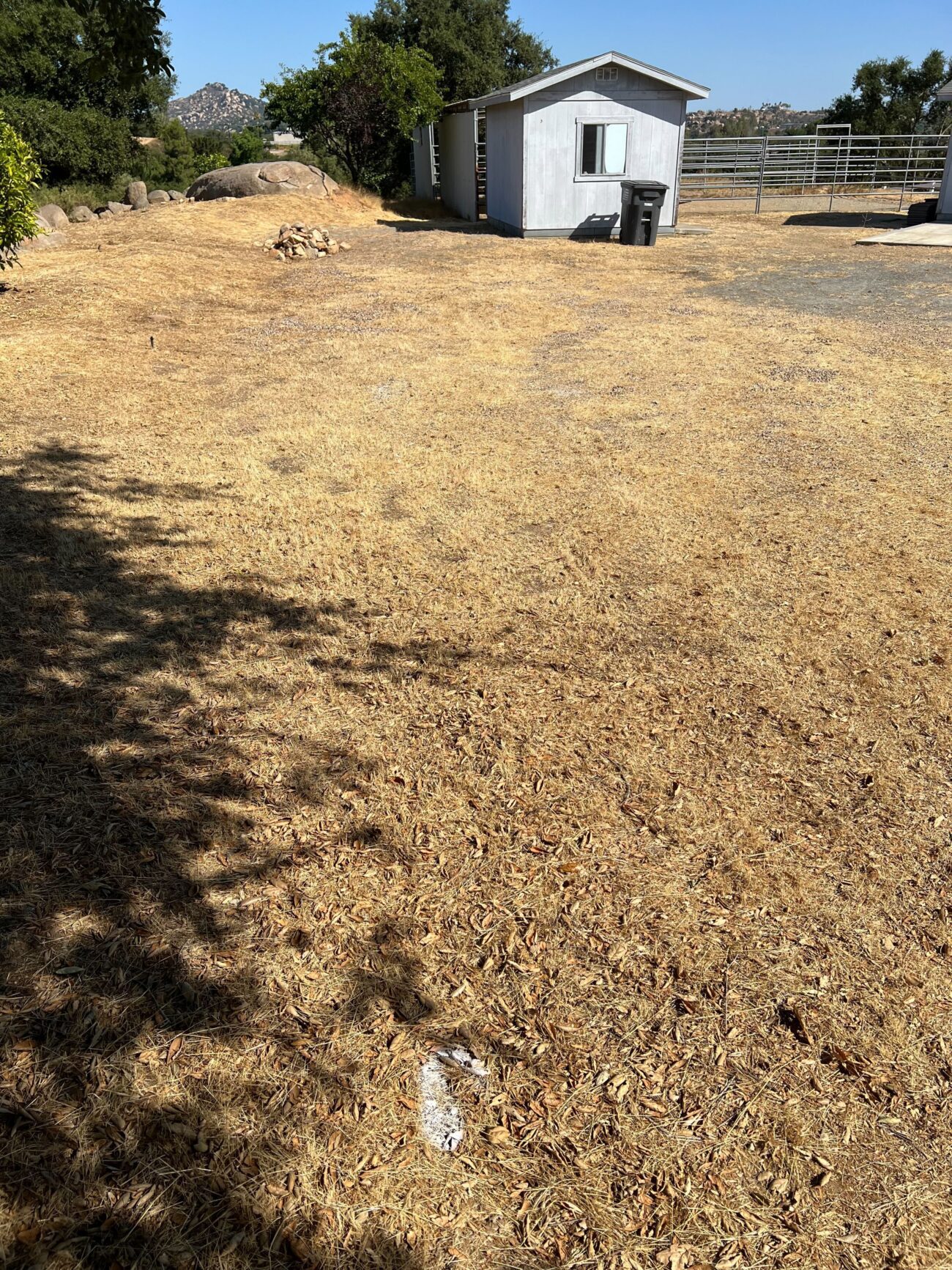 Wide backyard site photo showing dry natural grass/mulch and a small outbuilding at the far end. Open, mostly level area...