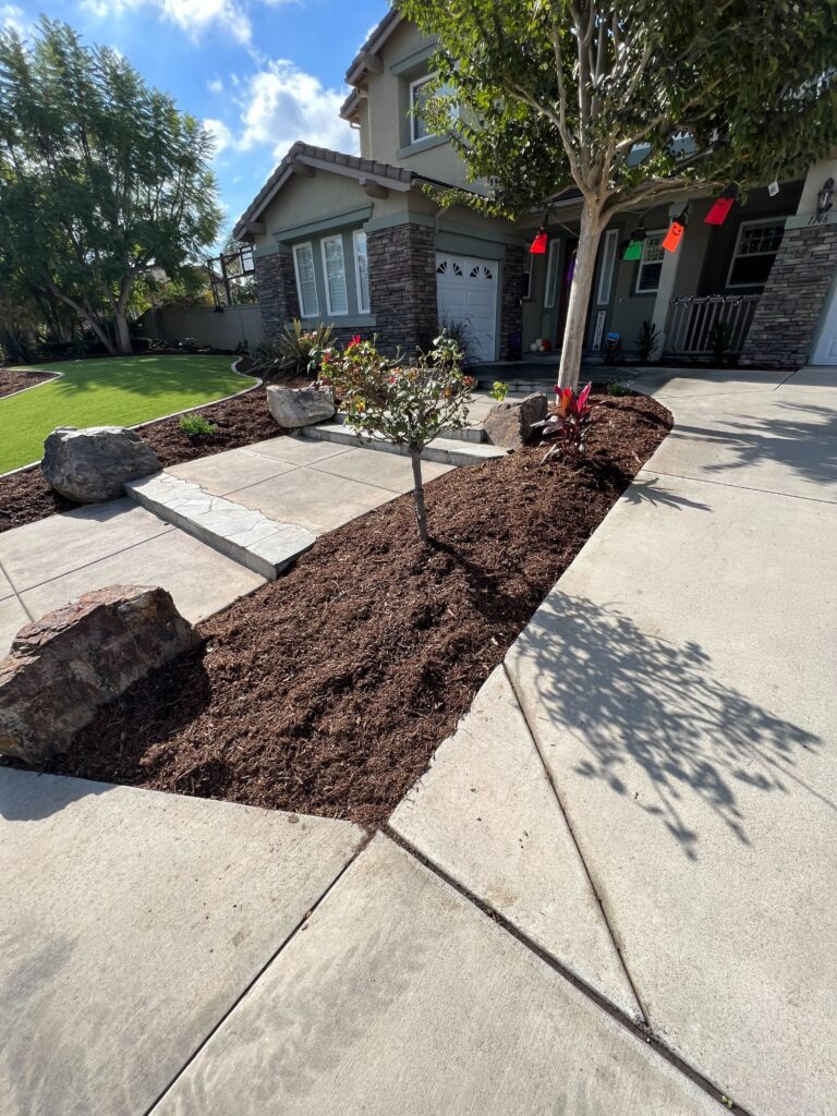 Front yard residential hardscape and landscape showing a concrete driveway and stepping paver walkway with freshly...