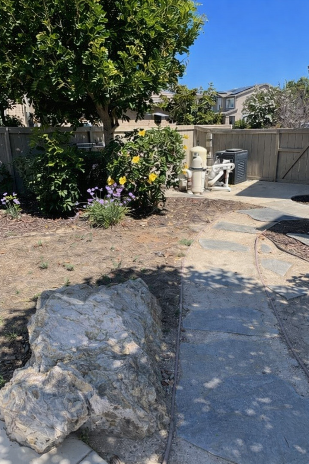 Backyard site photo showing existing flagstone/stone walkway, mature tree and shrubs, and exposed dirt where turf will be...