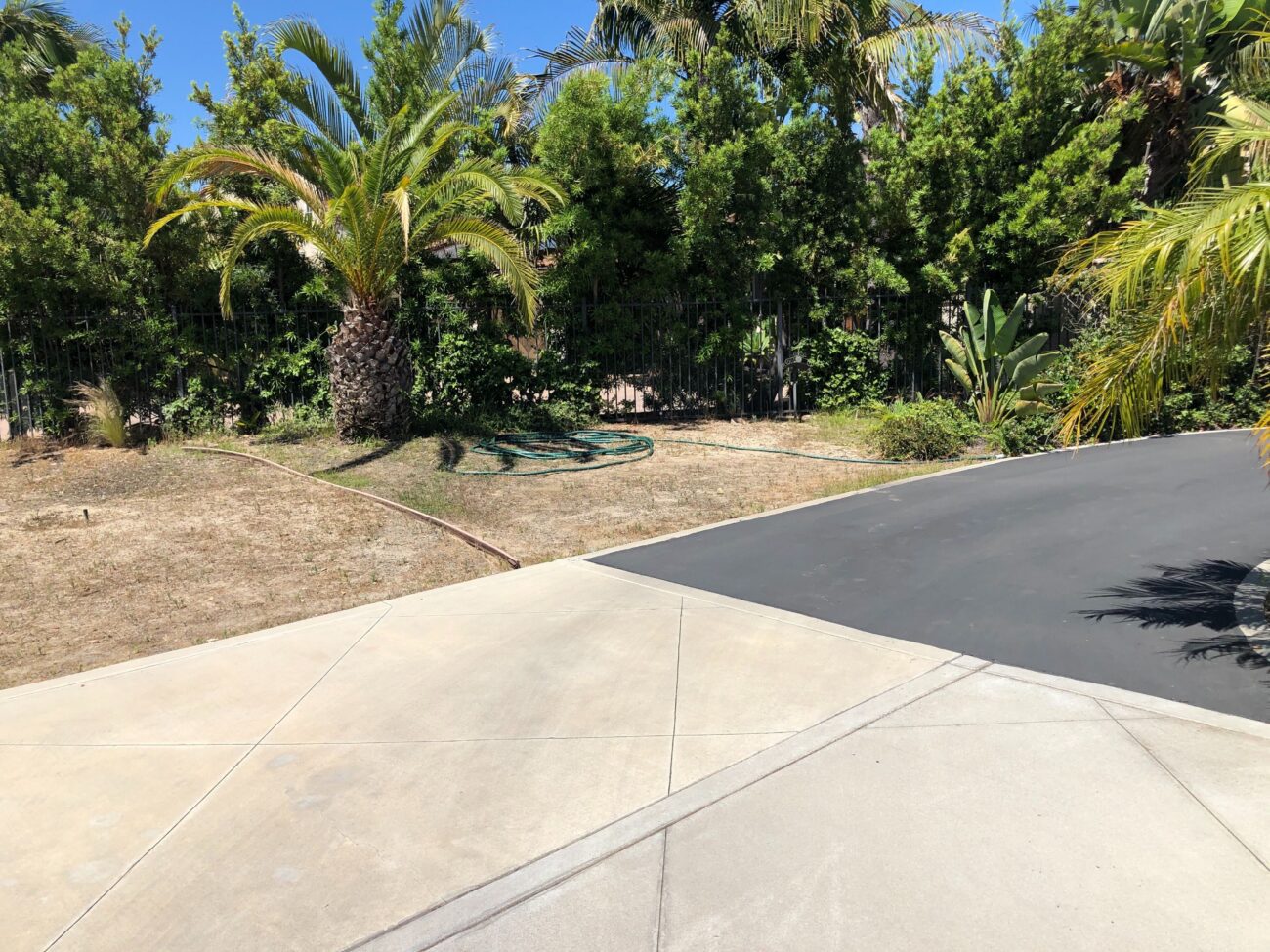 Concrete driveway apron meets a dark asphalt driveway adjacent to a dry, brown lawn with palm trees and sparse planting....