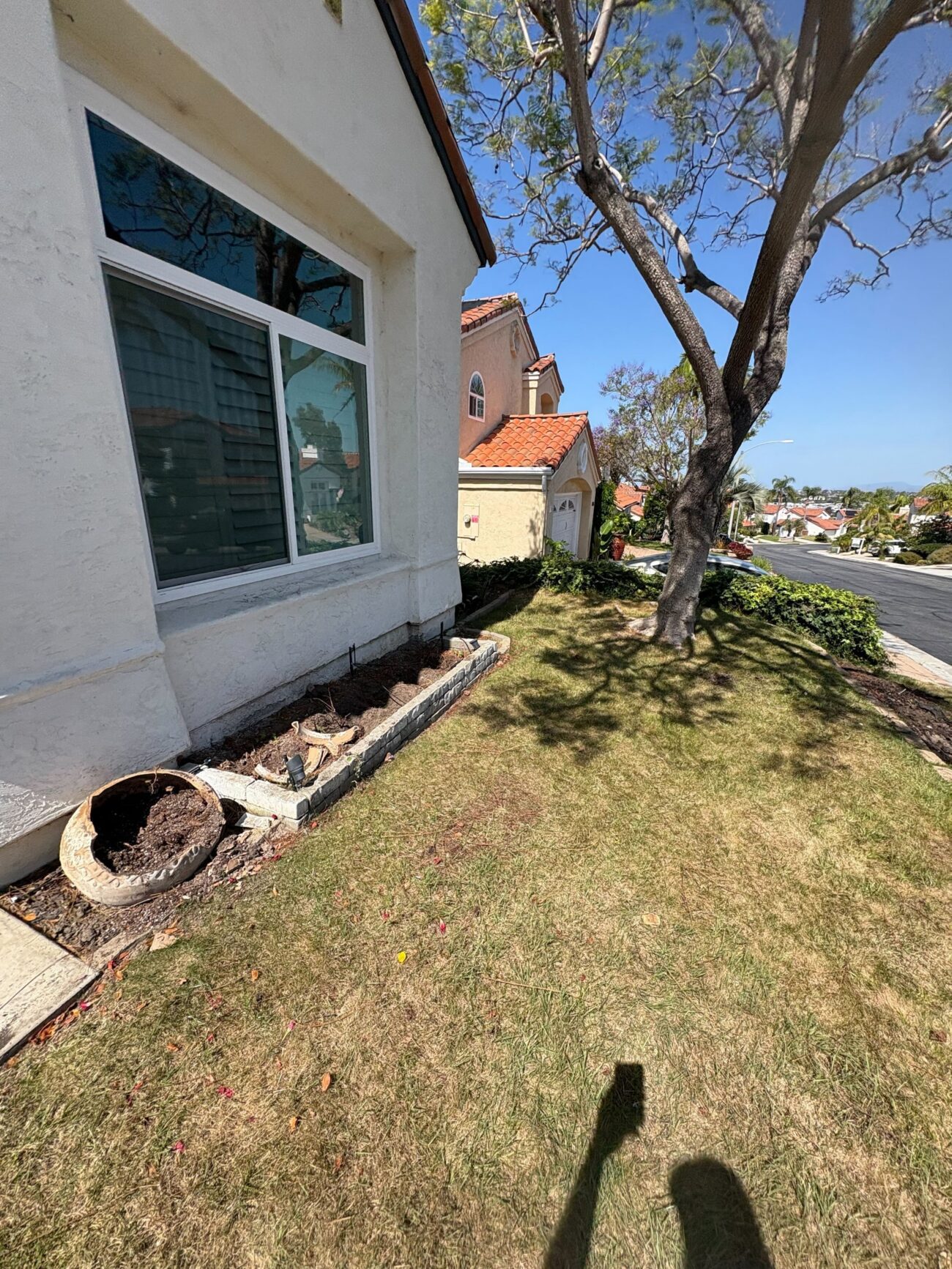 Residential front-yard site photo showing an existing natural turf lawn and a narrow planter bed along the house edged with low stone/segmental wall. A mature tree shades the yard, exposed soil and a tipped pot are visible in the bed, and there is no equipment or materials staged on site, indicating pre-construction conditions.