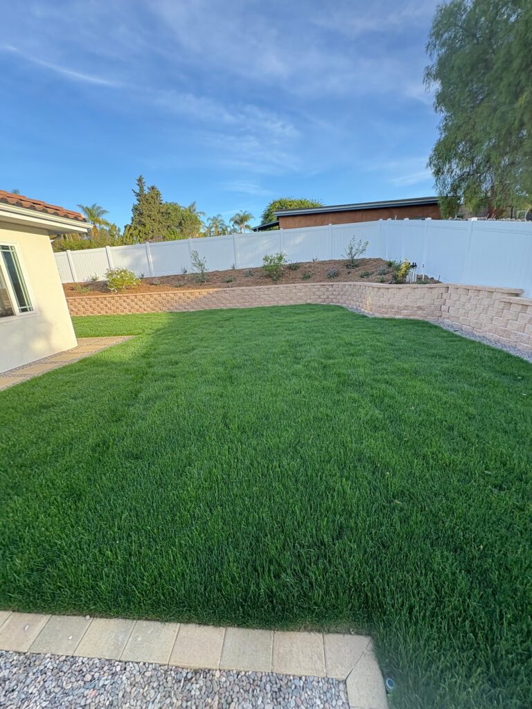 Finished sod lawn framed by a capped segmental retaining wall and paver border in the Vista backyard.