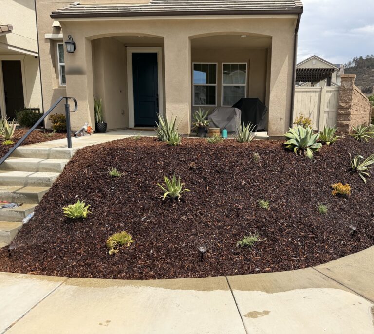 Front slope replanted with succulents and shrubs in shredded fir mulch, Escondido 92029