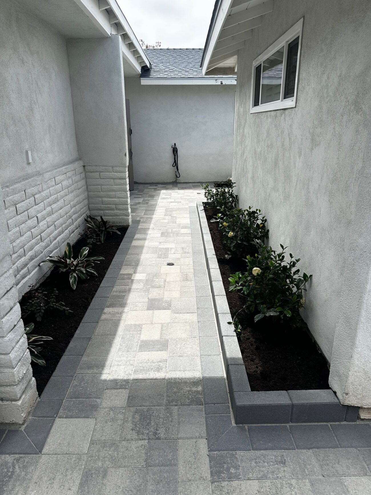 The walk toward the back of the house, with new planting in both beds