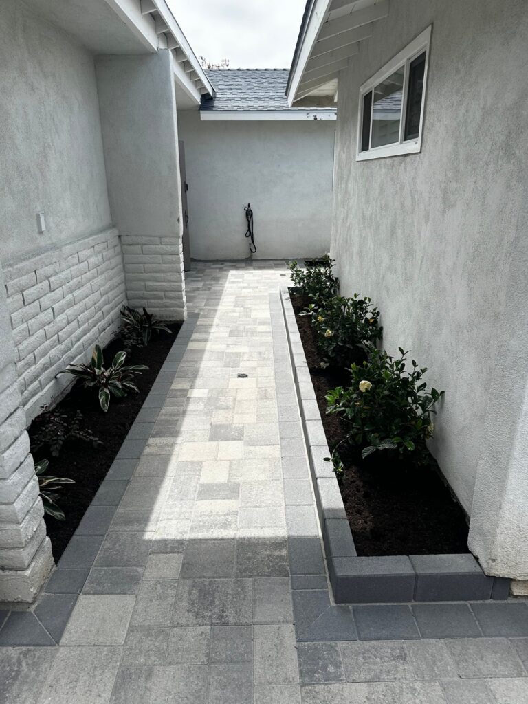 The walk toward the back of the house, with new planting in both beds