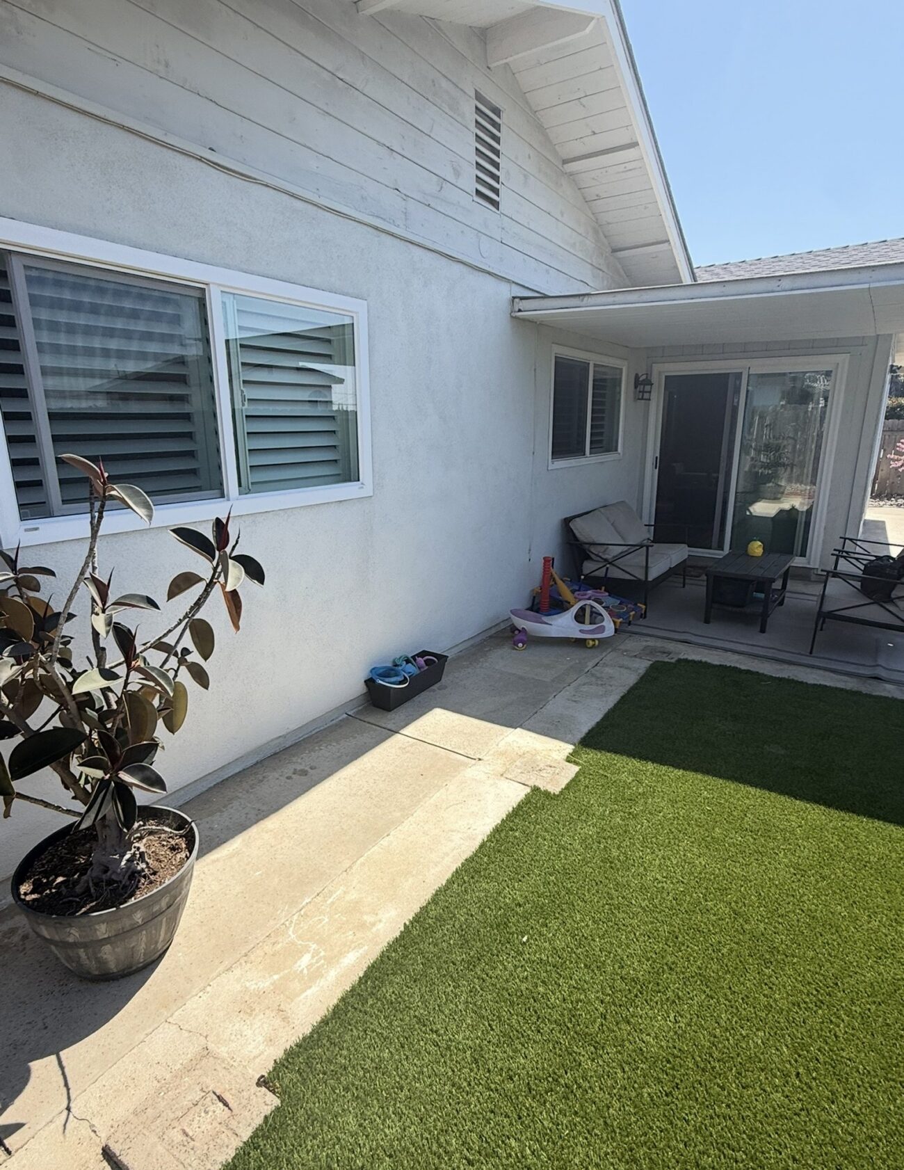 Before: a concrete strip along the back of the house