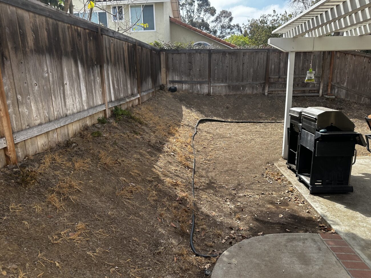 Before: dead lawn and bare dirt slope along the back fence, with the old brick band in the concrete patio