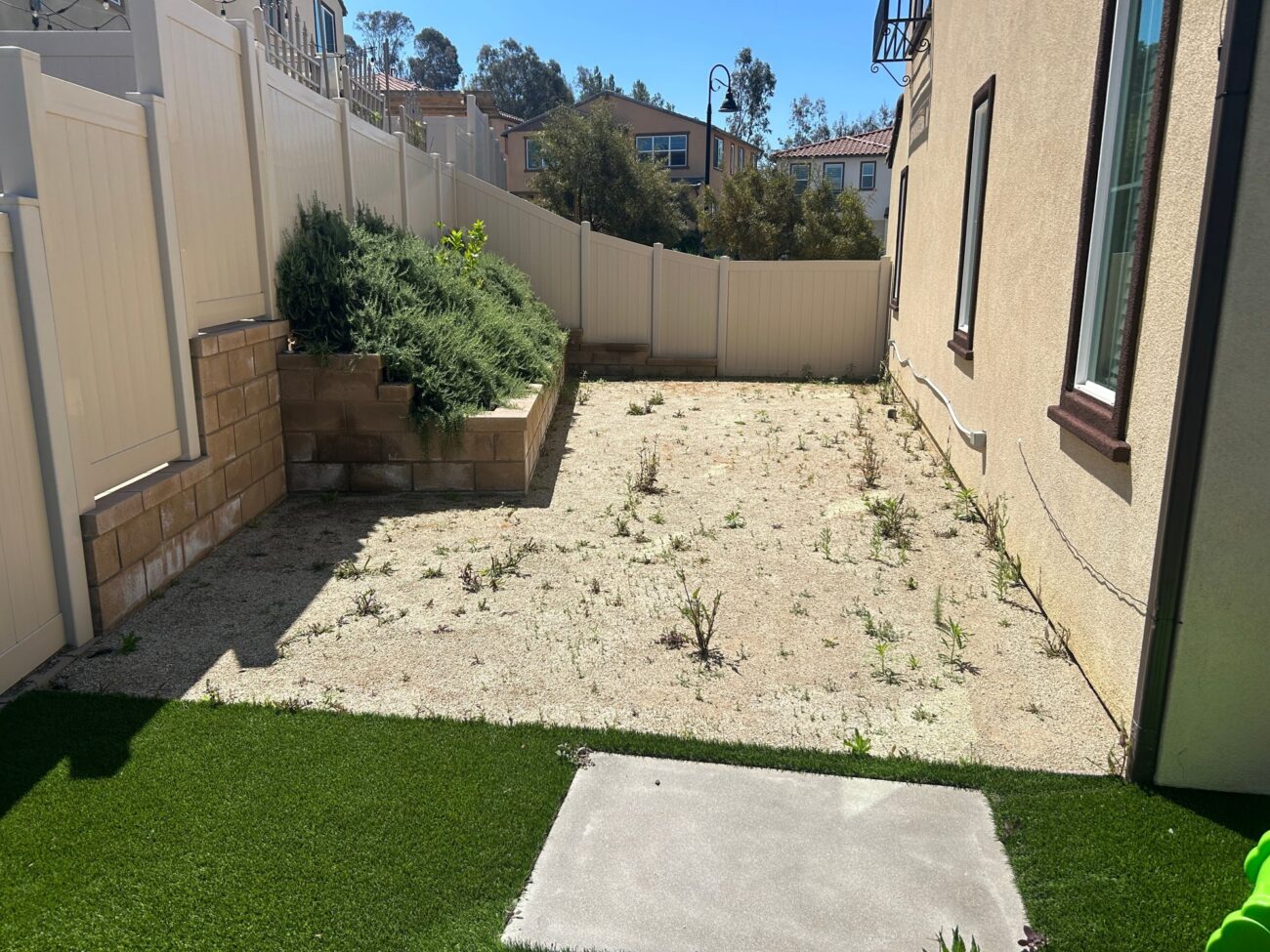 Before: bare dirt and weeds in the side yard